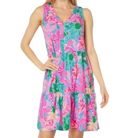 Lilly Pulitzer Dresses & Skirts - Lilly Pulitzer Women's Lorina Floral V-Neck A-Line 100% Cotton Dress  - XS